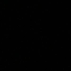 Meet your Posher, Hailey